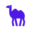 Favicon of CAMEL-AI website