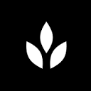 Favicon of Craftwork website