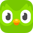 Favicon of Duolingo website