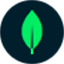 Favicon of MongoDB Atlas website