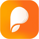 Favicon of Persuva website