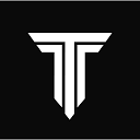 Favicon of Tempo website