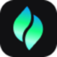 Favicon of Verdent website